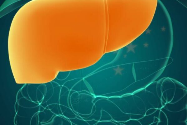 How Heavy Are Gallbladders? Know about Anatomy and What It Does